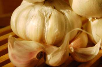 knoblauch-mittel